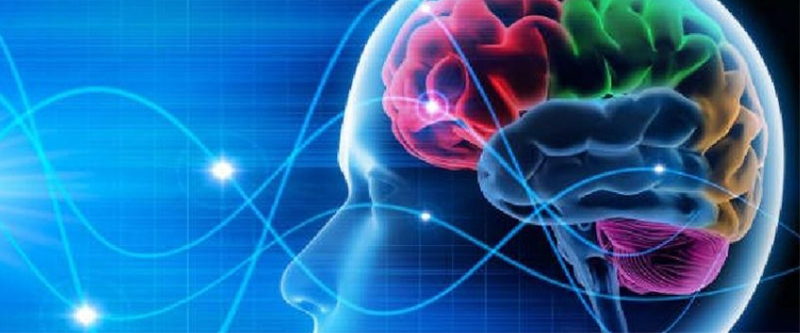 Conferenza; MEDITAZIONE E NEUROSCIENZE; 27 Gennaio, GENOVA