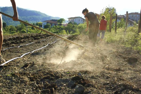 i-ricostruttori-nella-preghiera-erboristeria3