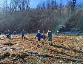 WhatsApp Image 2026-03-05 at 00.16.53